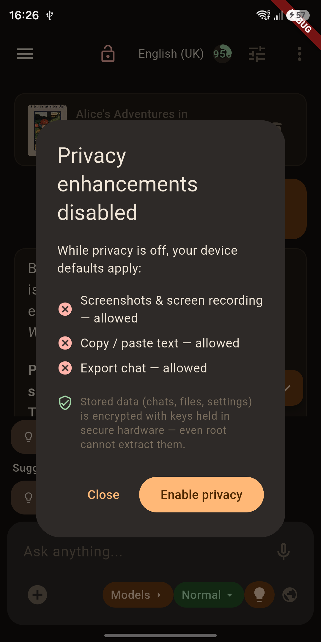 App-entrance PIN — the app locks behind a PIN you choose, with a privacy badge while it runs